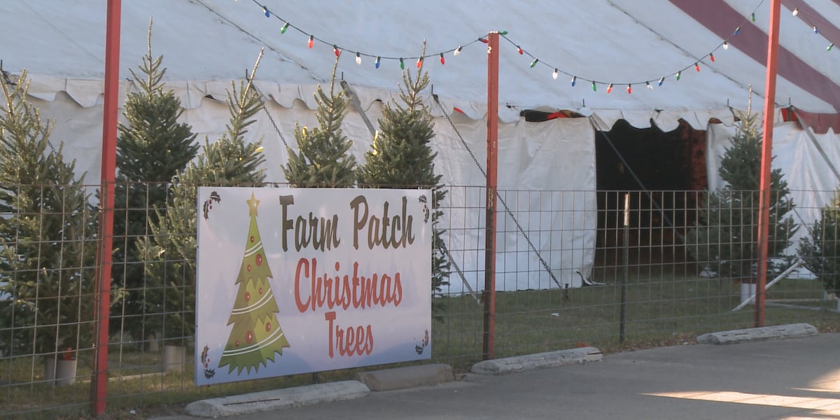 Farm Patch helps speedy decorators kick off the Christmas season early