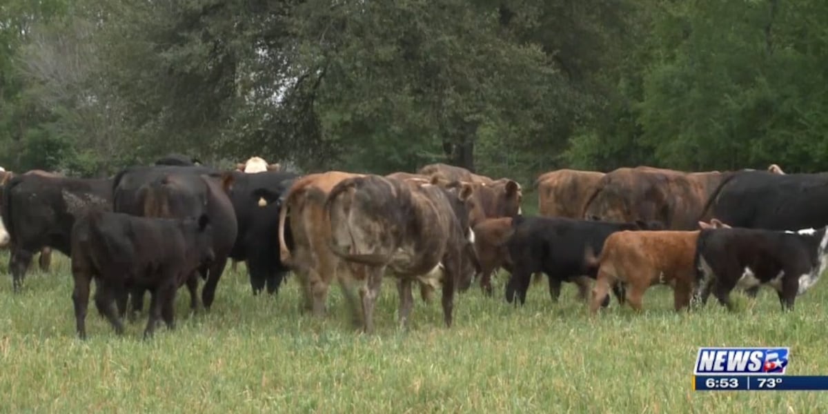 Regrow Ranchers From the Ground Up: Ranchers Embrace Stewardship