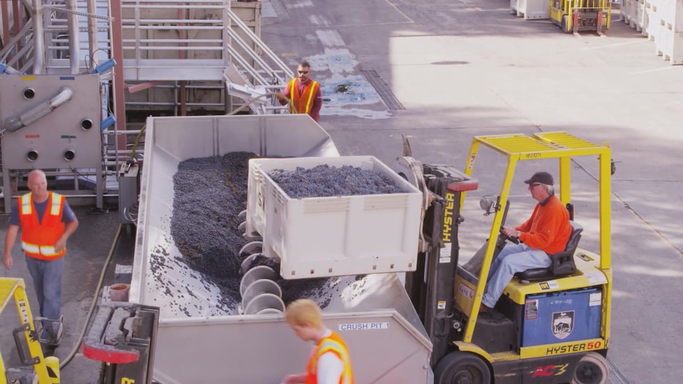 According to the United States Bureau of Labor Statistics, more than 20 percent of...