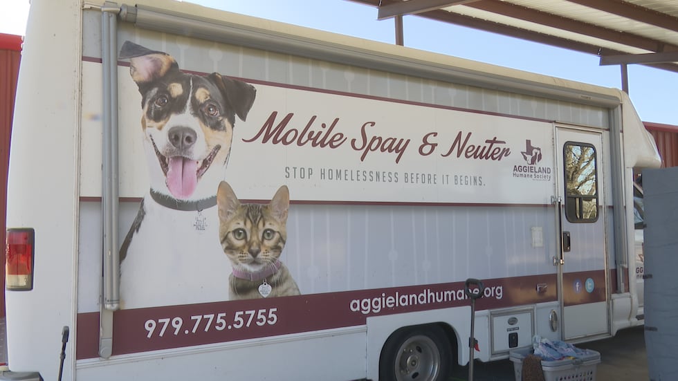 Aggieland Humane Society conducts hundreds of high-volume spay and neuter operations every year.
