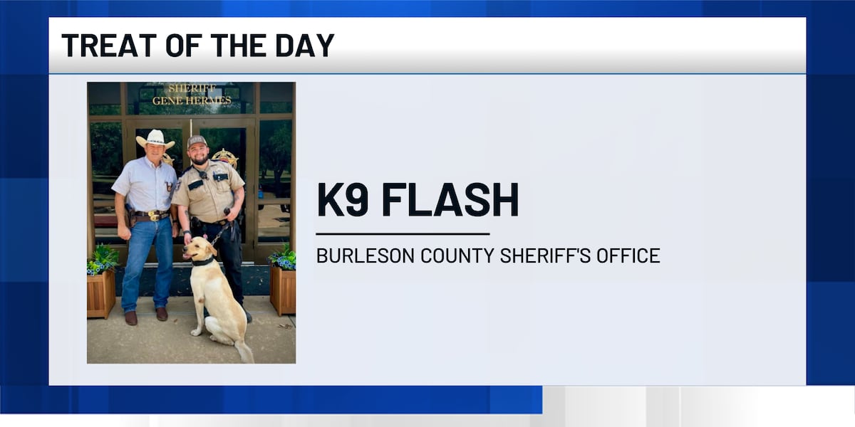 Treat of the Day: K9 joins ranks of BCSO