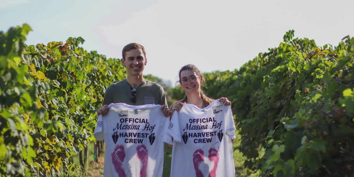 Messina Hof's annual Harvest Fest returns July 24 with vineyard tours, grape stomping and more