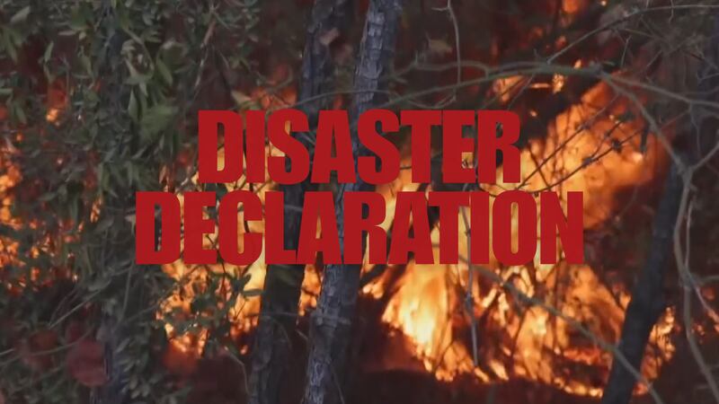 Burleson County declares local disaster for fire danger