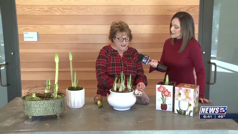 Weekend Gardener: Bulbs