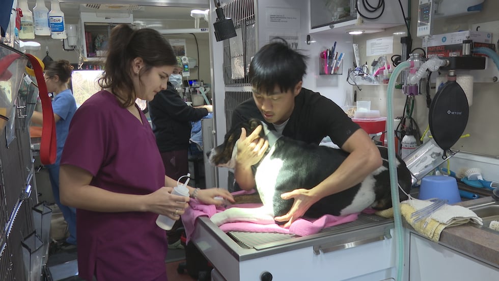 Aggieland Humane Society has a spay-and-neuter truck the put highly expert veterinarians...