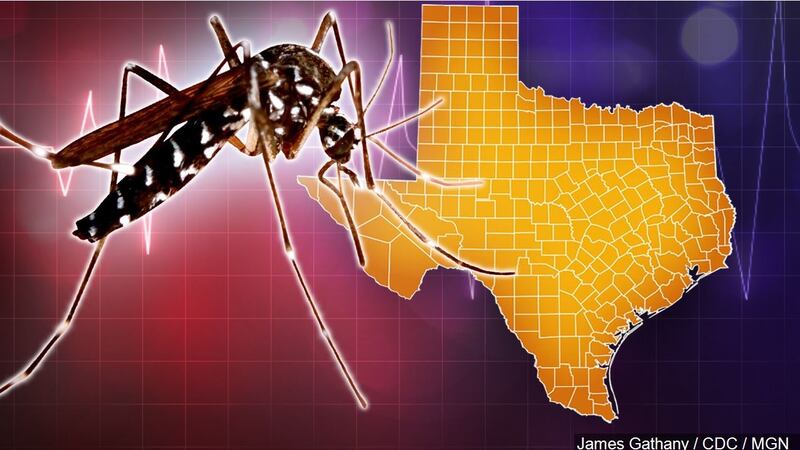 Federal Support and the Investigation in Brownsville