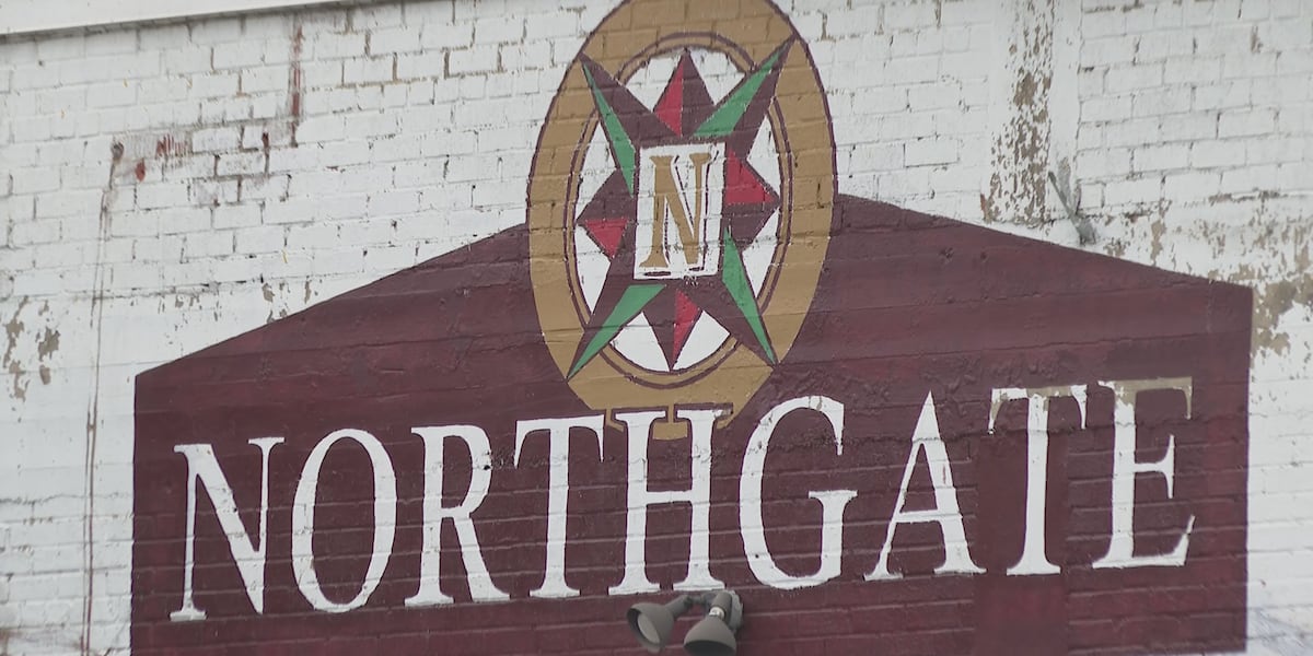 Draft of Northgate area plan wraps months of public input, heads to ...