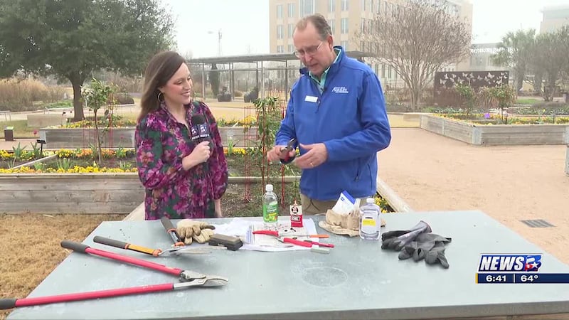 Weekend Gardener: Tool maintenance