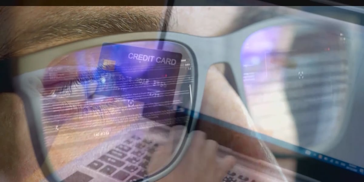 Shopping online this holiday season? Cybersecurity experts share tips to avoid scams Shopping online this holiday season? Cybersecurity experts share tips to avoid scams