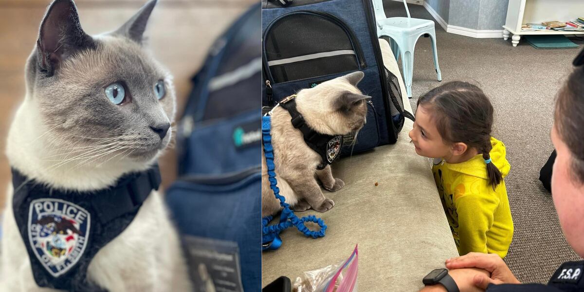 Police Cat Unit Police cat ‘Pawfficer Fuzz’ makes friends at center for children with ...