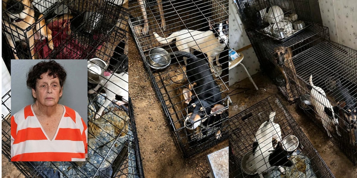 Owner arrested after 14 dogs rescued from North Zulch home in animal cruelty investigation
