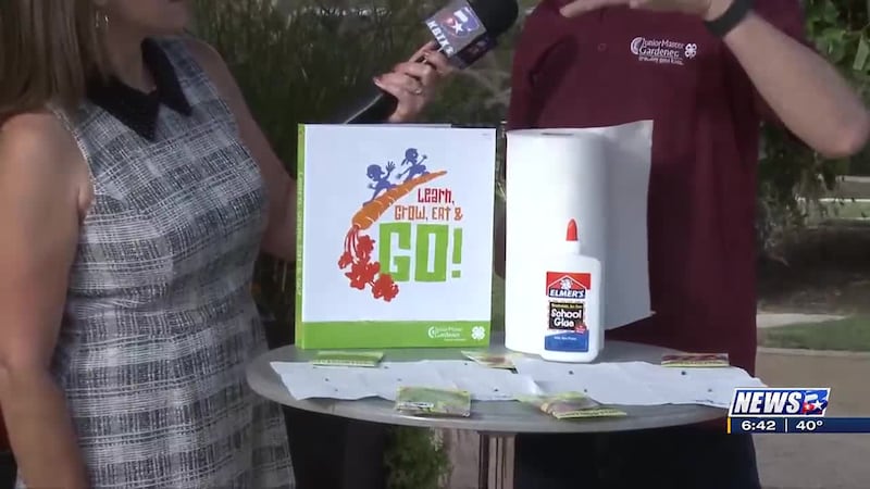 Weekend Gardener: Paper towel gardening