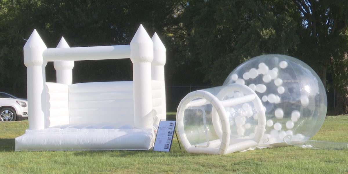 Bring unique bounce houses to your next party with Wild Skye Inflatables