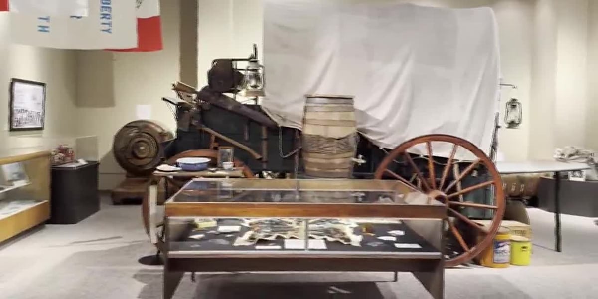 Beat the heat at the Brazos Valley Museum of Natural History this summer