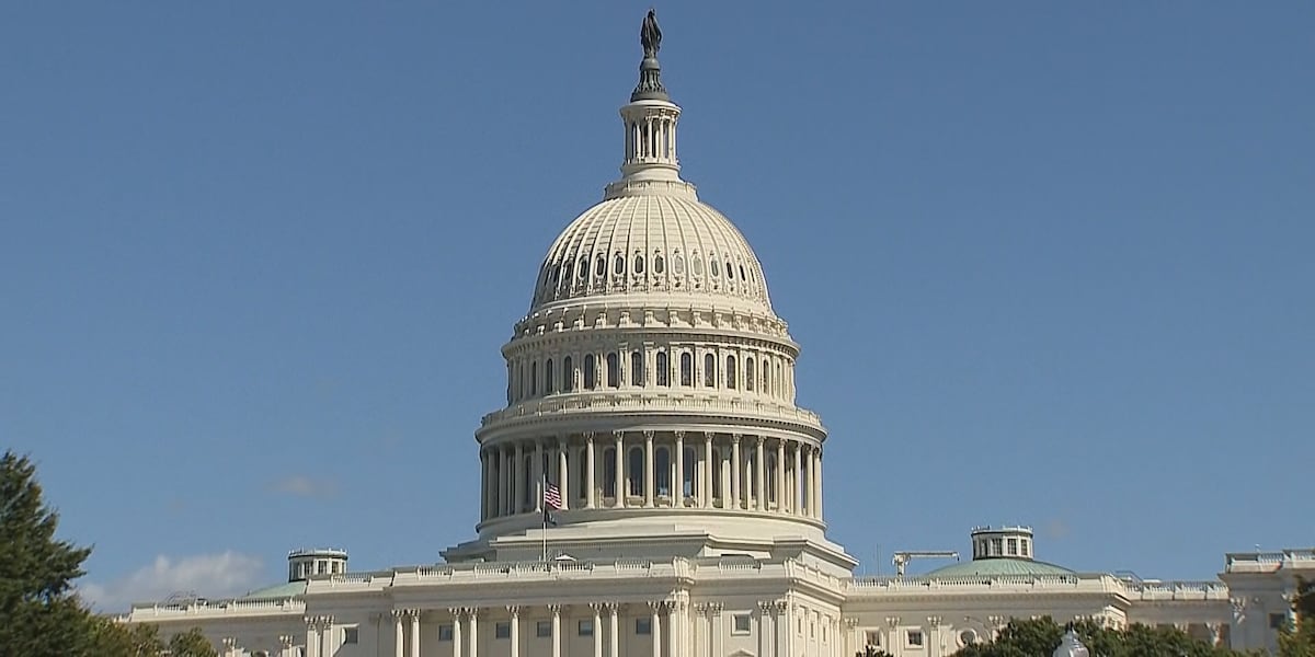 Brazos Valley leaders, organizations react to government shutdown