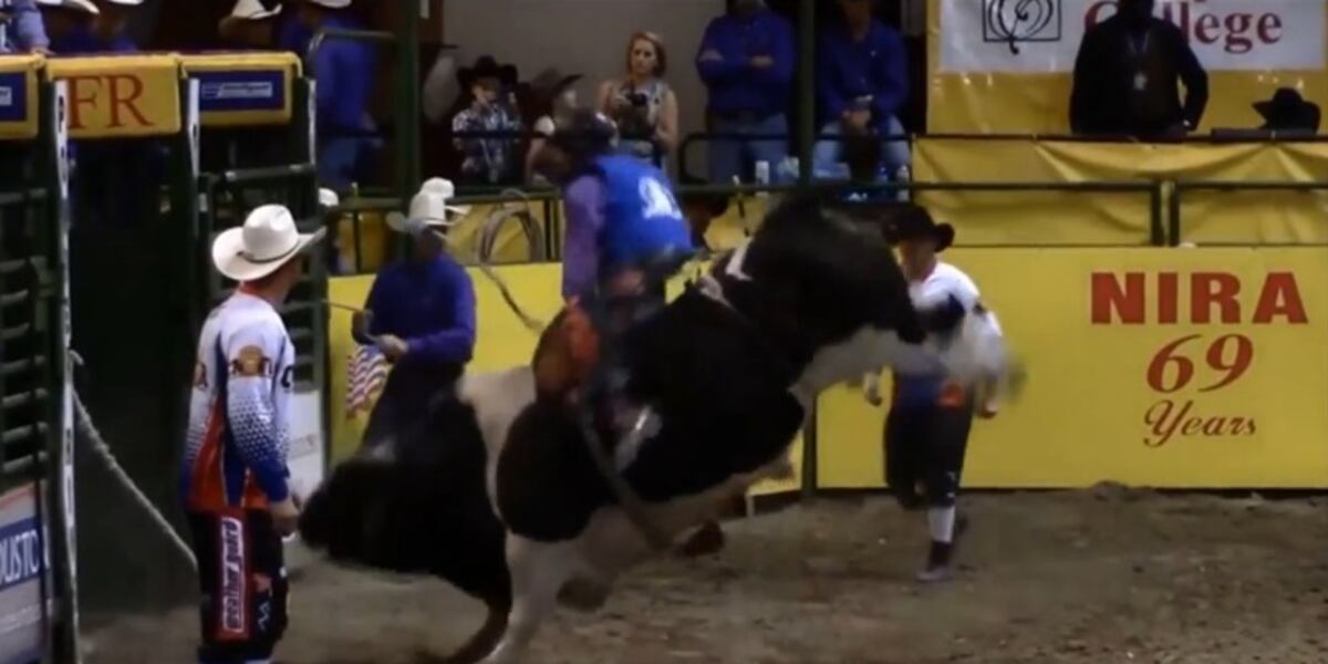 Texas bull rider injured in College Finals Rodeo leaves ICU