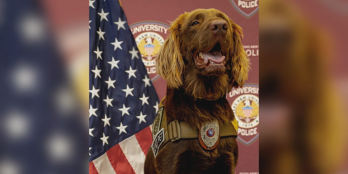 Meet the newest and cutest member of the Texas A&M University Police Department