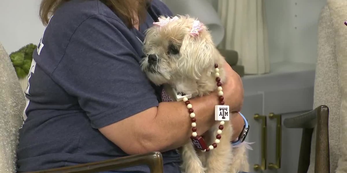 Pet of the Week: Meet Pebbles!
