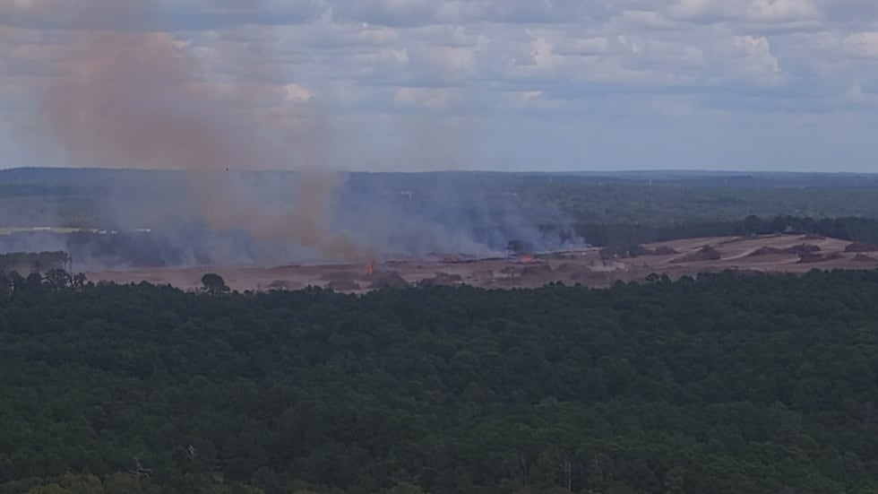 In drone footage, land appears to be actively being cleared in the future Terafab location.