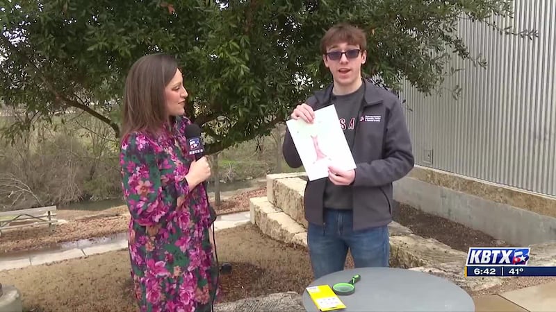 Weekend Gardener: 'Tree community' activity for kids