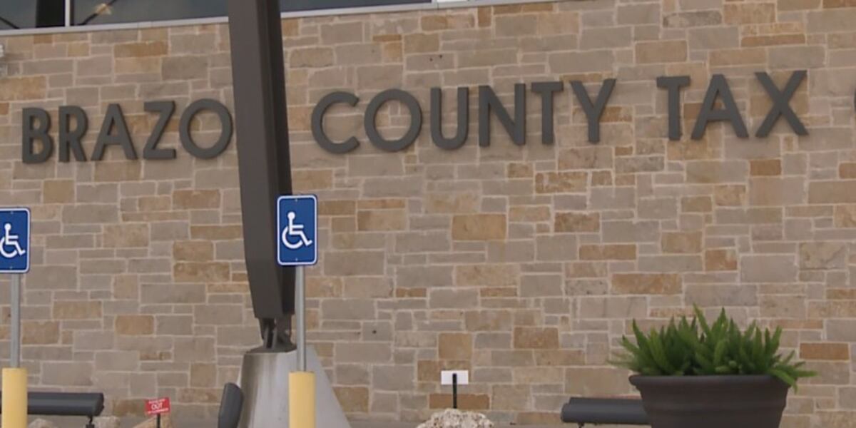 Brazos County Collections Online Payment