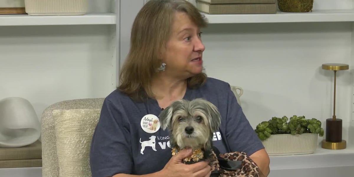Pet of the Week: Meet Bailey!