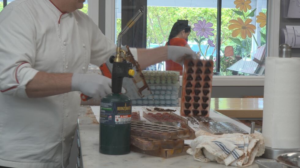 Most all of the Cocoa beans used in chocolate production are grown abroad
