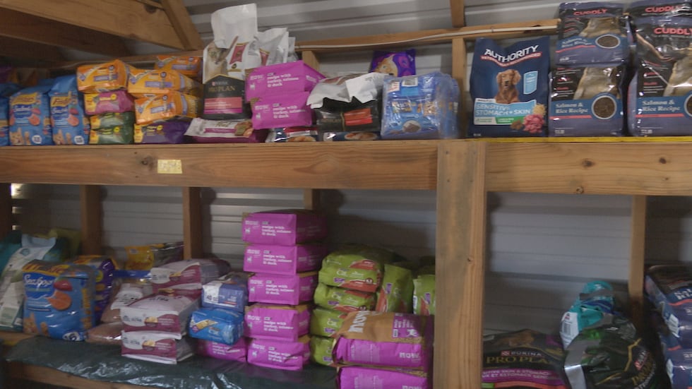 Aggieland Humane Society is looking for donations and volunteers.