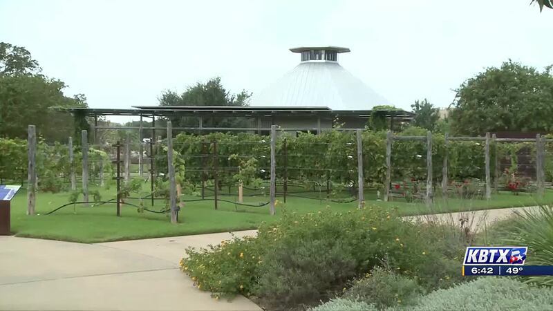 Weekend Gardener: Fall Festival at The Gardens