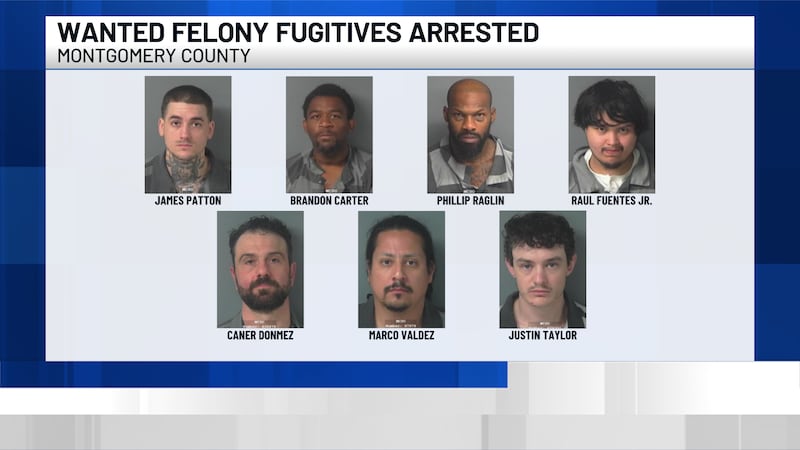 MCSO SWAT arrests seven wanted felons, including 3 gang members