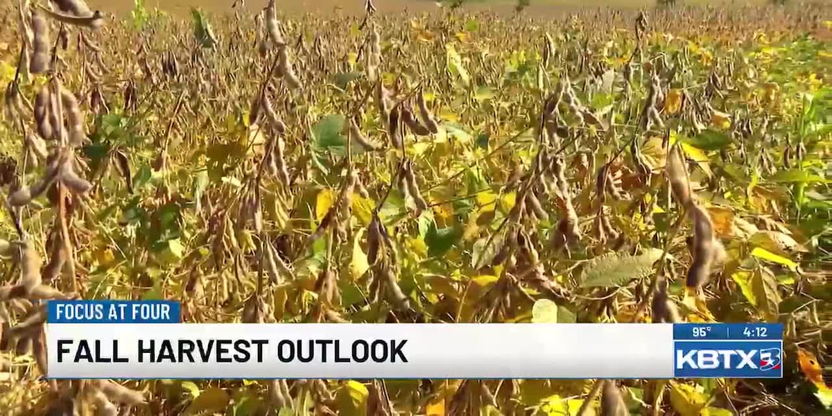 Farmers face more challenges as fall harvest begins