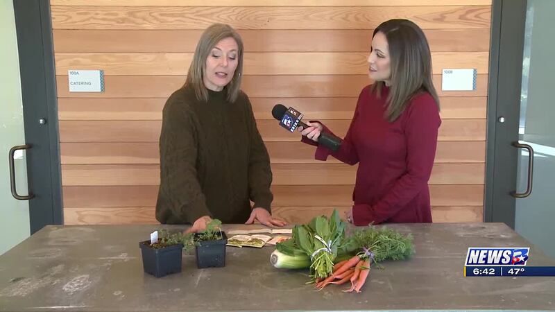 Weekend Gardener: Planting vegetables