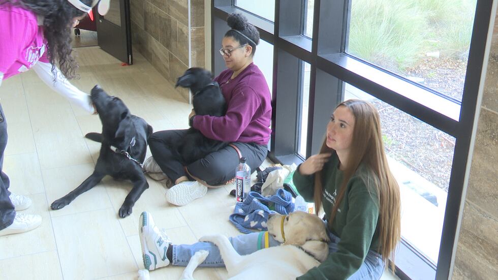 The Texas A&M Event introduces children to their veterinary medicine careers
